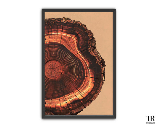 Mahogany Tree Ring Cross Section Art Print - Nature-Inspired Matte Print & Framed Options